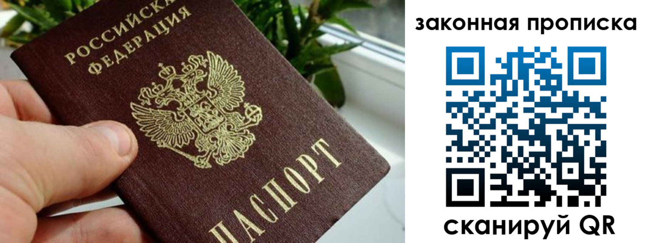 временная регистрация поиск в Серпухове